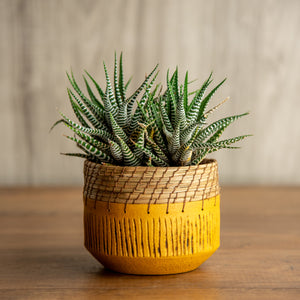 Pot holder in mustard yellow