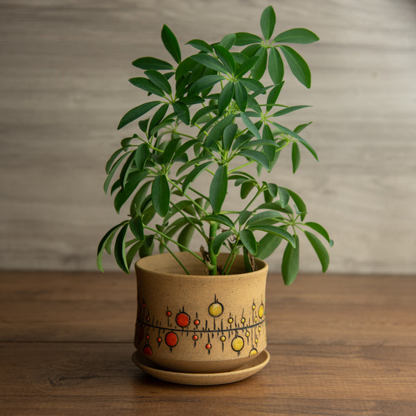 Planter #6