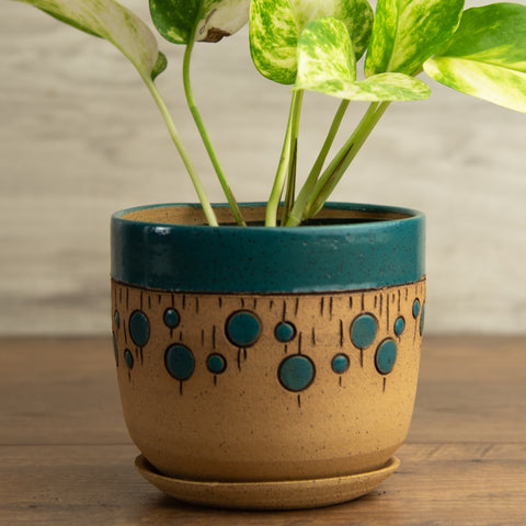 Planter #1