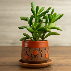 Planter #7