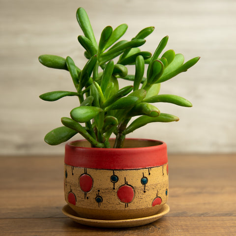 Planter #5