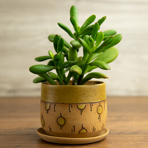 Planter #4