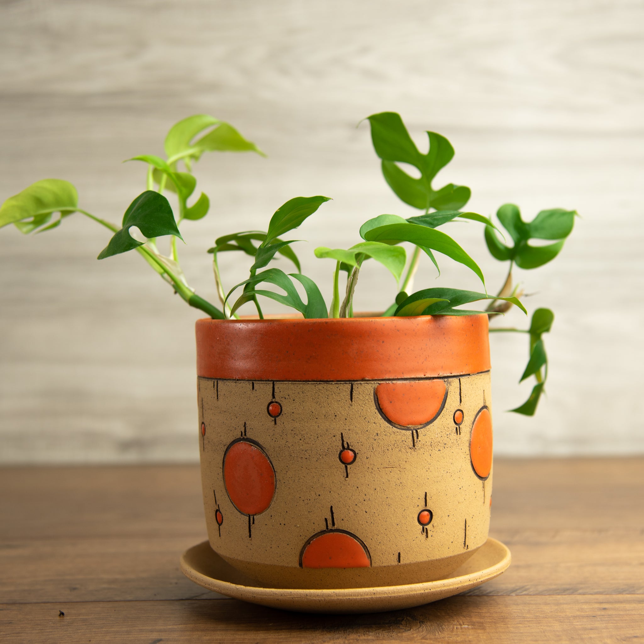 Planter #2
