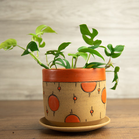 Planter #2
