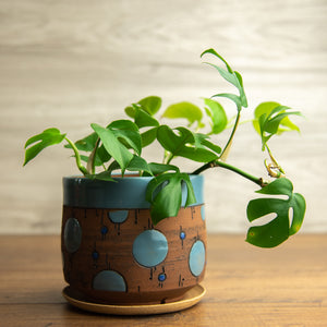 Planter #9