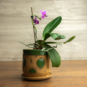 Planter #3